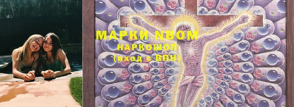 ГАЛЛЮЦИНОГЕННЫЕ ГРИБЫ Арсеньев