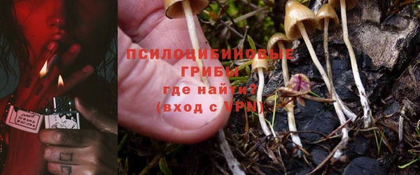 ГАЛЛЮЦИНОГЕННЫЕ ГРИБЫ Арсеньев