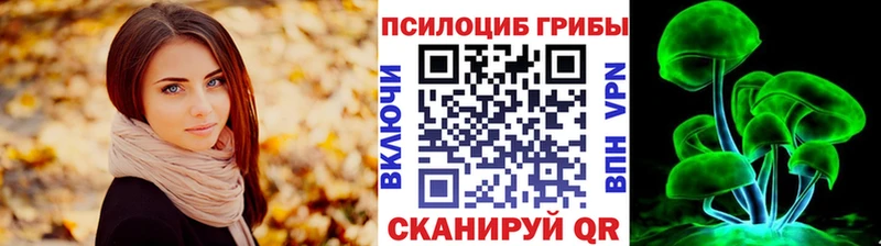 Псилоцибиновые грибы прущие грибы  закладка  Полярные Зори 